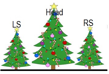 Xmas tree H&S